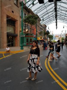 Floral Skirt Floral Skirt