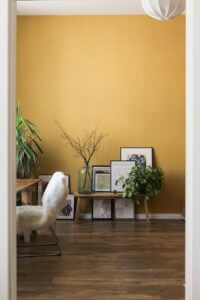 best paints for the house, lostilista, lifestyle magazine, sarita nakra, best paints for the house